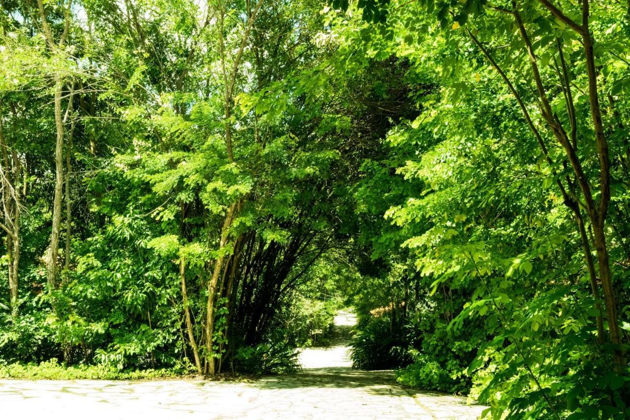 Pousada Villa Das Pedras Pirenópolis Екстериор снимка